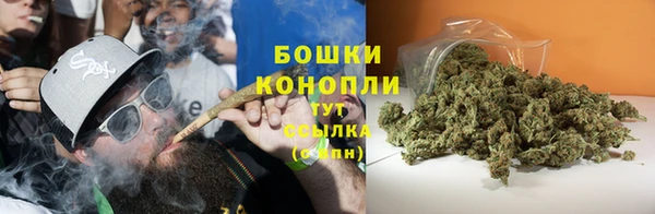 мяу мяу мука Инсар