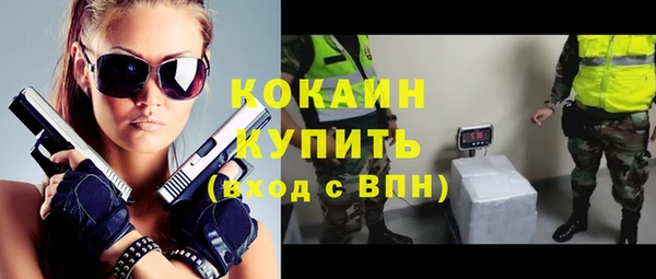 шишки Иннополис