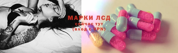 мяу мяу мука Инсар