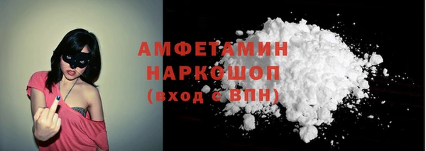 индика Каменка