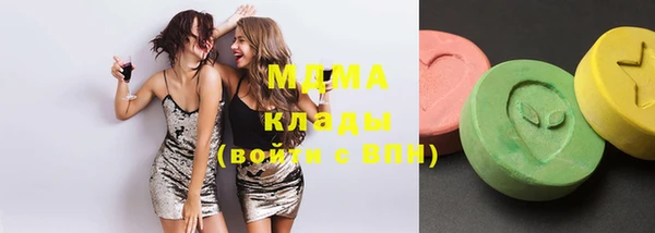 индика Каменка