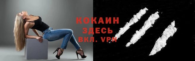 мяу мяу мука Инсар