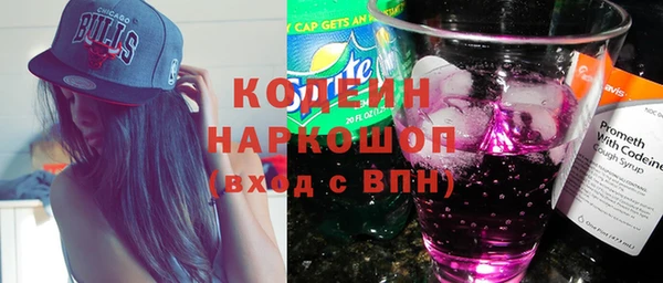 шишки Иннополис