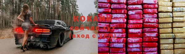 мяу мяу мука Инсар