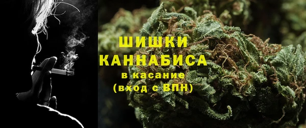 шишки Иннополис