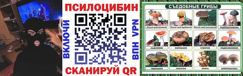Купить закладки Жуковка Псилоцибиновые грибы Psilocybine cubensis